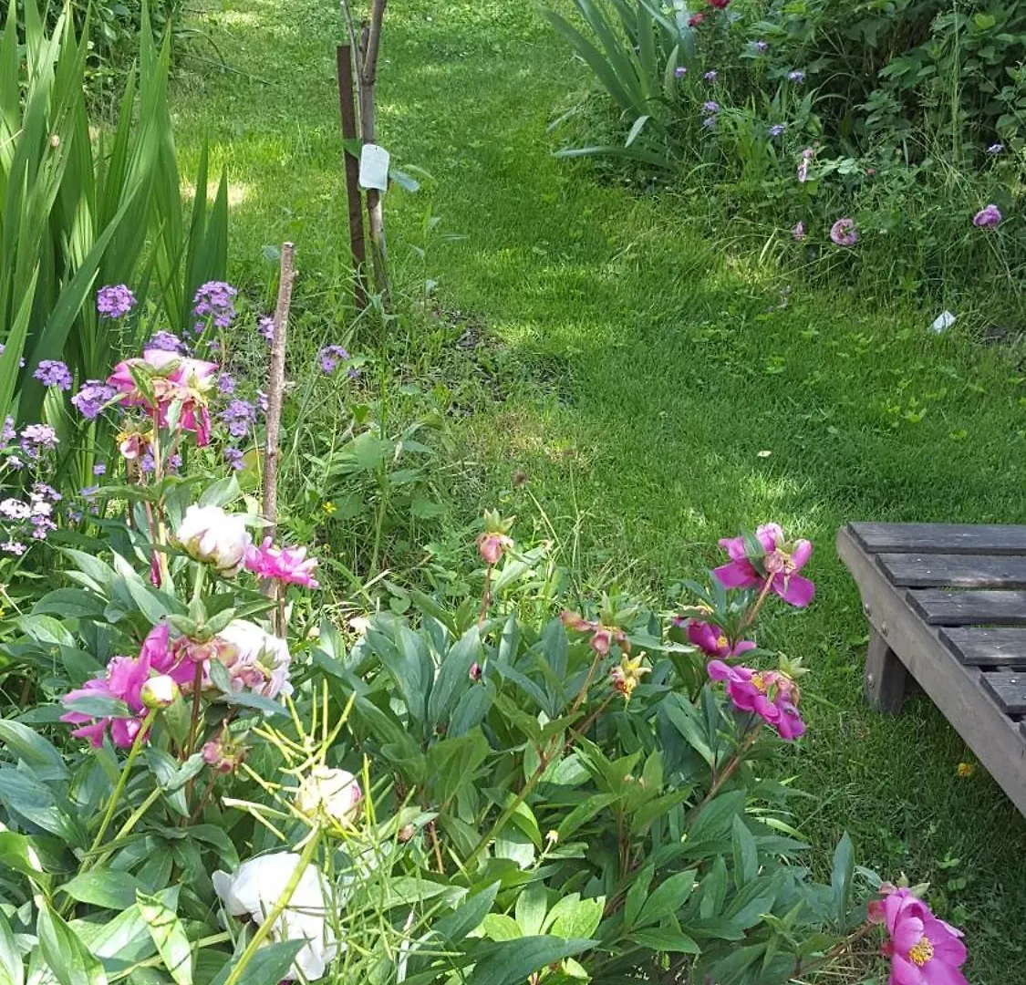 Διαμέρισμα Appartement Dans Villa Provencale, Jardins Et 3Vtt Disponibles Digne-les-Bains